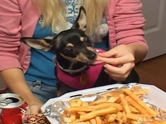 Blond, Pijpbeurt, Bruinharig, Hardcore, Natuurlijke tieten, Alleen, Tiener, Tieten likken