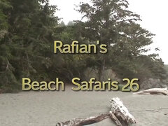 Strand, Pijpbeurt, Stel, Kokhalzen, Hd, Buiten, Openbaar, Spion