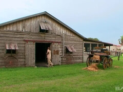 Grosser schwanz, Grosse titten, Schwarz, Vollbusig, Hundestellung, Gruppensex, Jungendliche (18+), Titten