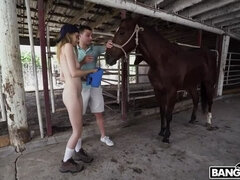 Kategorie - Grosser schwanz