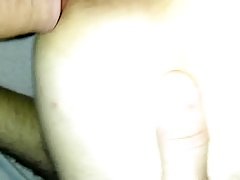 Enthousiasteling, Deens, Homo, Hd