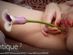 Arsch, Kitzler, Erotisch, Fetisch, Masturbation, Solo, Jungendliche (18+), Nass