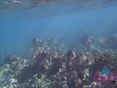 Любители, Пляж, Еда, Подружка, На природе, От первого лица, Сиськи, Влажная