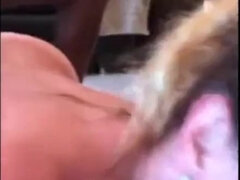 Anal, Mamada, Hablar sucio, Pajear, Casero, Maduro, Orgía, Esposa