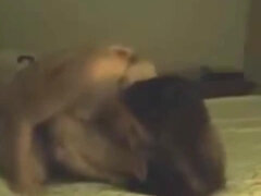 Compilation of Intense Loud Female Orgasms