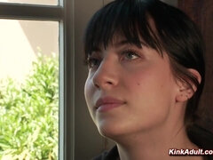 Bizar, Bruinharig, Europees, Groep, Hd, Pijn, Openbaar, Bekijker