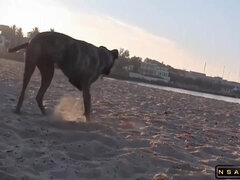 Strand, Grosse titten, Blasen, Braunhaarige, Selbstgemacht, Im freien, Pov, Titten
