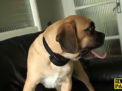 お尻, イギリス人, 浮気する, 服従, フェティッシュ, ラフ, スパンキング, タトゥー