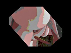 Любители, Красотки, Большой член, Блондинки, Ферма