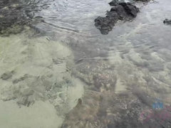 Amateur, Plage, Blonde, Petite amie, Mamelons bombés, Chatte, Rasée, Tatouage