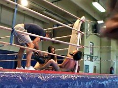 Красотки, Европейки, Лесбиянка, Реслинг