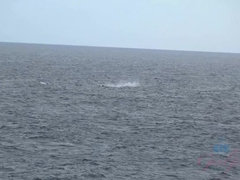 Amateur, Culo, Corrida, Sucio, Vestido, Masturbacion con pies, Pov, Calcetines