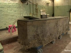 In den arsch, Sadomasochismus, Fesselspiele, Frau, Erniedrigung, Schmerz, Bestrafung, Sklave