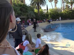 Kleid, Absätze, Höschen, Piercing, Pov, Rasiert, Abendanzug, Titten