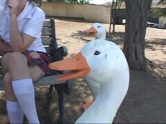 18 años, Rubia, Autobús, Coche, Polla, Adolescente, Trio, Uniforme