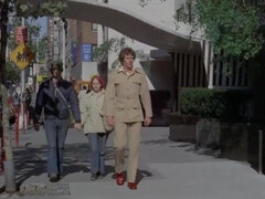 The Virgin and the Lover - 1973 - 18-year-old