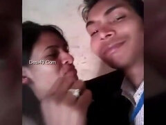 Desi Indian sex