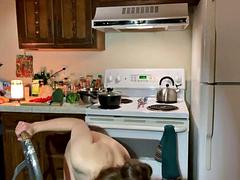 Amateur, Beauté, Fétiche, Poilue, Cuisine, Nue à poil, Softcore, Nénés