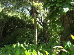 Любители, Пляж, Брюнетки, Платье, Эксгибиционист, От первого лица, Тощие, Сиськи