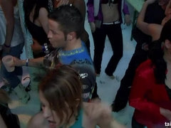 Tanzen, Schwanz, Gruppe, Interrassisch, Lingerie, Orgie, Swingers, Nass