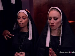 Bruinharig, Hondjeshouding, Groep, Zoenen, Lesbisch, Likken, Kut duiken, Strippen