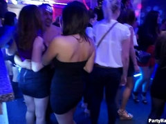 Amateur, Verga grande, Polla, Hembra, Sexo duro, Orgía, Fiesta, Intercambio de parejas