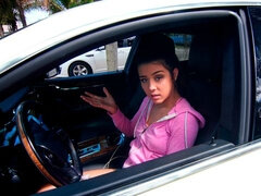 Kont, Pijpbeurt, Bruinharig, Hondjeshouding, Handbeurt, Vrijster, Kousen, Uniformpje