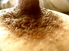 Hairy closer