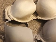Cum  on bras found at rest area