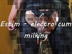 Estim - electro cum milking