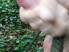 Stuck balls in forest and cum