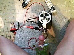 electro urethral fucking machine cbt nettles short vid