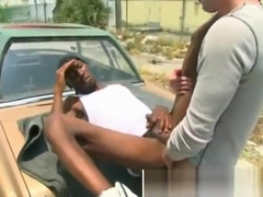 Black bottom gets fucked by white