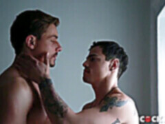 Vyrýsovaní, honění ptáka, gay rimming