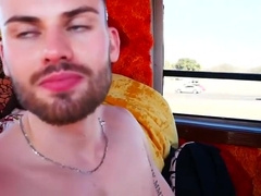 Domine Par With Texas Bull