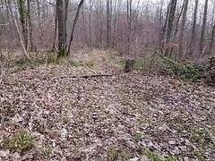 Found a stranger’s Thong and String in the woods and covered them in my cum