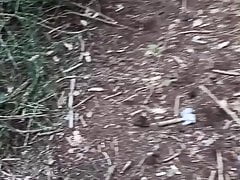 collecting cumfilled condoms in the woods