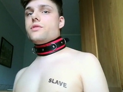 New slaveboy 2