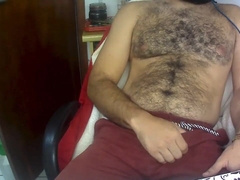 Taunt you, with my half rigid salami