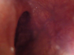 POINT OF VIEW - Thrusting you in deep with a 12in fake penis