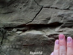 Timonrdd Found Someone's Forgotten Masturbator In A Local Canyon And Poked Him