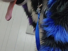 Johnny Huskey - Grope off and jizz :trio