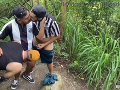 four PALS RELAXING THE FIRM IN THE WOODS