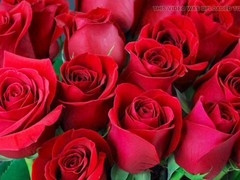 Sensual mature Desi Mazaa with a big ass