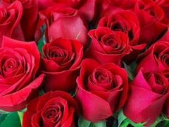 Curvy mature Desi Mazaa shows off her big ass in hot scenes