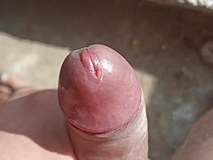 My Beautiful and Sensual Shaved and Erect Penis