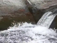 Carlos Morales And Parker Williams In And Wm )