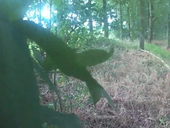 wanking in the cornfield and cumming in the woods 6