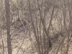 Femboy Hot Sucks My Huge Cock In Public