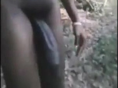 Ambling Hardons Cocks compilation